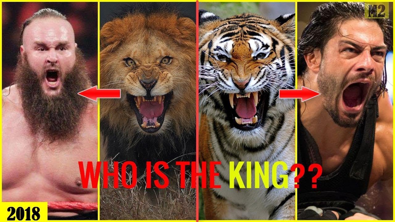 25 WWE SUPERSTARS vs KING ANIMAL 2020 - Who is the WWE KING? [HD]