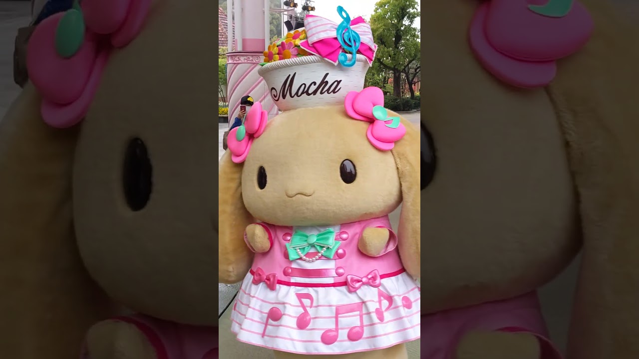 青空楽団の衣装を身に纏ったシナモロール君　モカちゃん　カプチーノ君がお家に買える様子