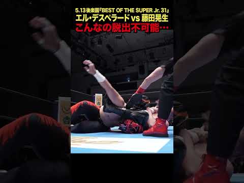 【新日本プロレス】BOSJ31 ＜5.13後楽園ベストバウト1位＞ エル・デスペラード vs 藤田晃生② #shorts