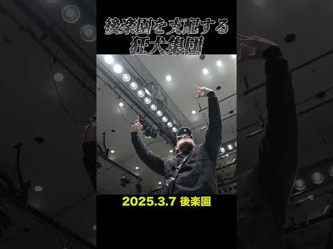 【新日本プロレス】後楽園を支配する狂犬集団 #shorts