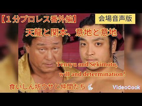 【１分プロレス番外編】これが天龍晩年の戦いだ！💯🐇#プロレス #youtube