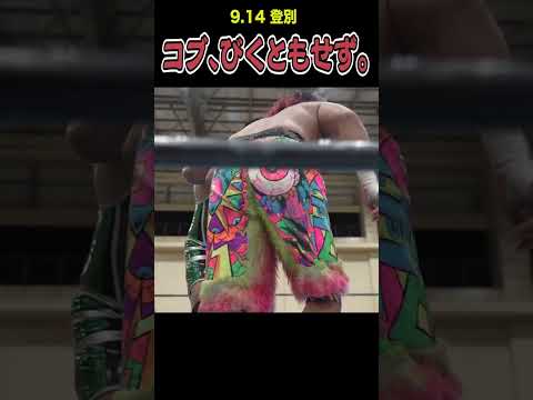 【新日本プロレス】コブ、びくともせず。  #shorts