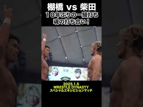 【新日本プロレス】棚橋 vs 柴田１０年ぶりの一騎打ち  魂の打ち合い！ #shorts