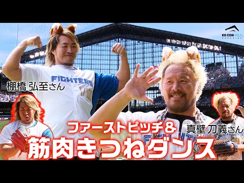 【筋肉きつね】新日本プロレス 棚橋選手兼社長・真壁刀義選手がファーストピッチ・きつねダンスに登場！