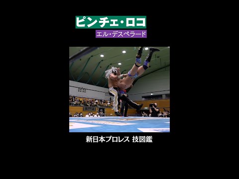 【新日本プロレス 技図鑑】ピンチェ・ロコ / エル・デスペラード #shorts