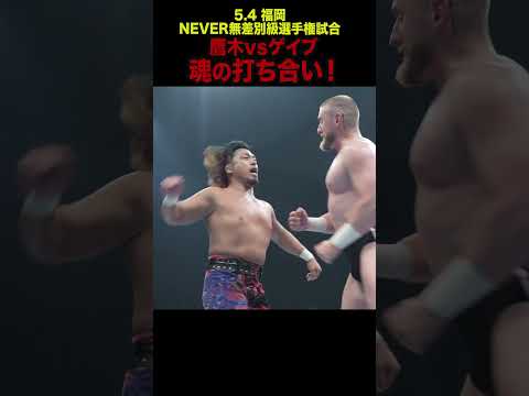 【新日本プロレス】鷹木vsゲイブ、魂の打ち合い！ #shorts