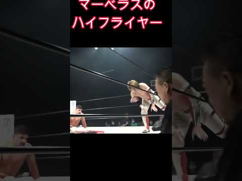 井坂レオ & タイタスアレクサンダー マーベラスのハイフライヤー　#プロレス #マーベラスプロレス