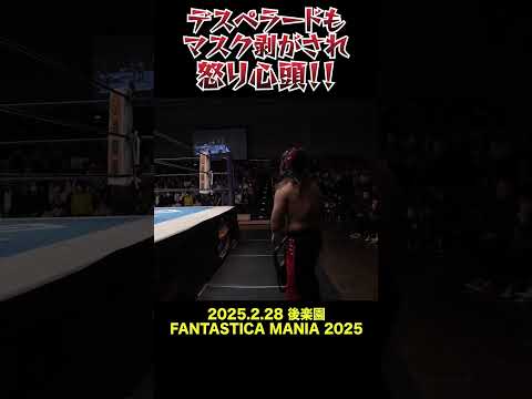 【新日本プロレス】デスペラードもマスク剥がされ怒り心頭！！ #shorts