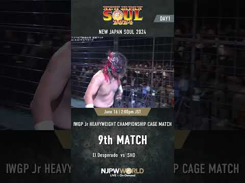 新日本プロレス『NEW JAPAN SOUL 2024』(6.16) 第9試合 IWGPジュニアヘビー級選手権試合 金網マッチ #Shorts