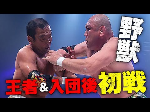 野獣がベルト戴冠＆入団後初戦！3.21福岡の野獣vs弾丸決戦まで待ったなし！3.13横浜武道館 GHCヘビー最終前哨戦｜プロレスリング・ノア