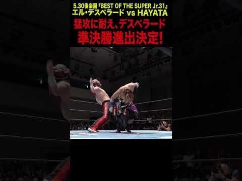 【新日本プロレス】BOSJ31 ＜5.30後楽園  ファンが選ぶベストバウト1位＞エル・デスペラード vs HAYATA④ #shorts